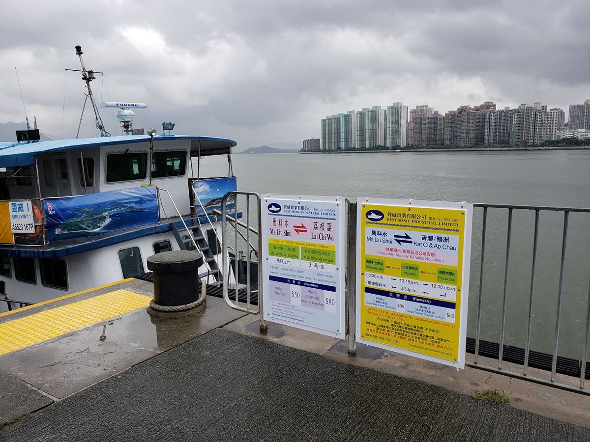 好消息！荔枝窩街渡加開航班