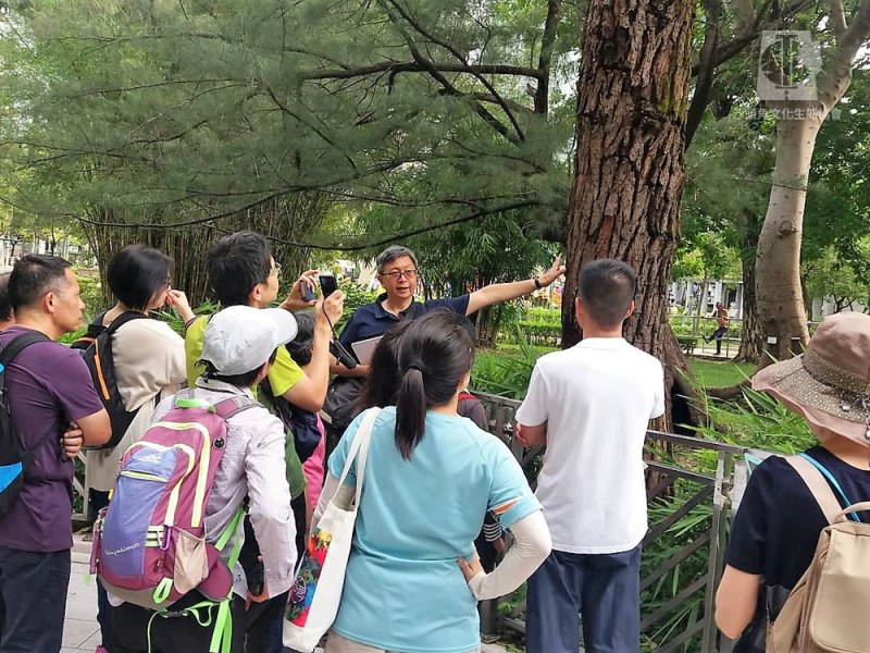 人樹共融 . 市區樹木導賞遊