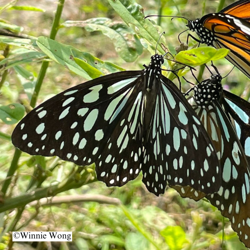 這張圖片的 alt 屬性值為空，它的檔案名稱為 e6b299e9a0ade8a792e58fa4e69d91e6b7a8e78198-10.png