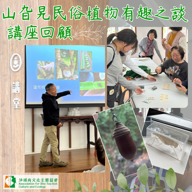 【山旮旯民俗植物有趣之談🌿 講座回顧】